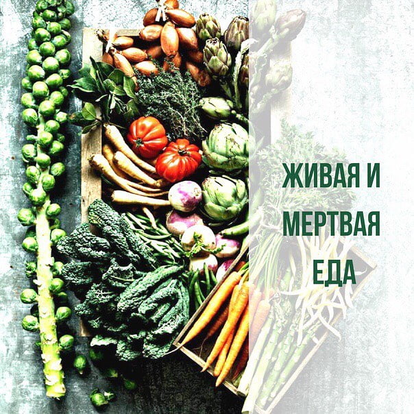 Энзим в переводе с греческого — фермент. Фермент, с латыни — энзим. А по-русски — катализатор, ускоритель химической реакции. Каждый орган и ткань в организме имеют свою систему ферментов. Сегодня о пищеварительных. . Мы все знаем заветную пилюлю с ферментами поджелудочной железы, которую берём с собой в ресторан, чтобы налопаться, а потом принять ее и ускорить процесс пищеварения. . Но энзимы содержатся и в продуктах, при одном условии — этот продукт сырой❗️ (читайте - Живой) Продукты, содержащие энзим - СЫРЫЕ овощи, клетчатка (зелень), фрукты, ягоды, орехи, проростки семян и зёрен, хрен, чеснок, ферментированные продукты (квашенная капуста и кисло-молочные продукты). . Овощи сырые и тушеные, яблоко сырое и яблоко в компоте — два разных продукта. В сыром ферменты есть, в термически отработанном — нет. Потому что фермент — это белок☝️, который при нагревании денатурирует (сворачивается) и на этом полезность его заканчивается. . Вот почему мой совет употреблять мясо с зеленью или сырыми овощами. Так как ферменты в зелени помогут переварить и усвоить мясо. Когда же мы едим мясо с термически отработанными продуктами (макаронами, жареной картошкой, например), нашей ферментативной системе приходится конкретно напрягаться, чтобы переварить и то, и другое, так как ферментов нет ни там, ни там. . Вот тут как раз высока вероятность, что потребуется ферментативный препарат в капсуле? Все почитатели западной диеты с большим количеством сахара, простых углеводов и трансжиров (читайте - мертвая еда) знают ферментативные препараты наизусть.