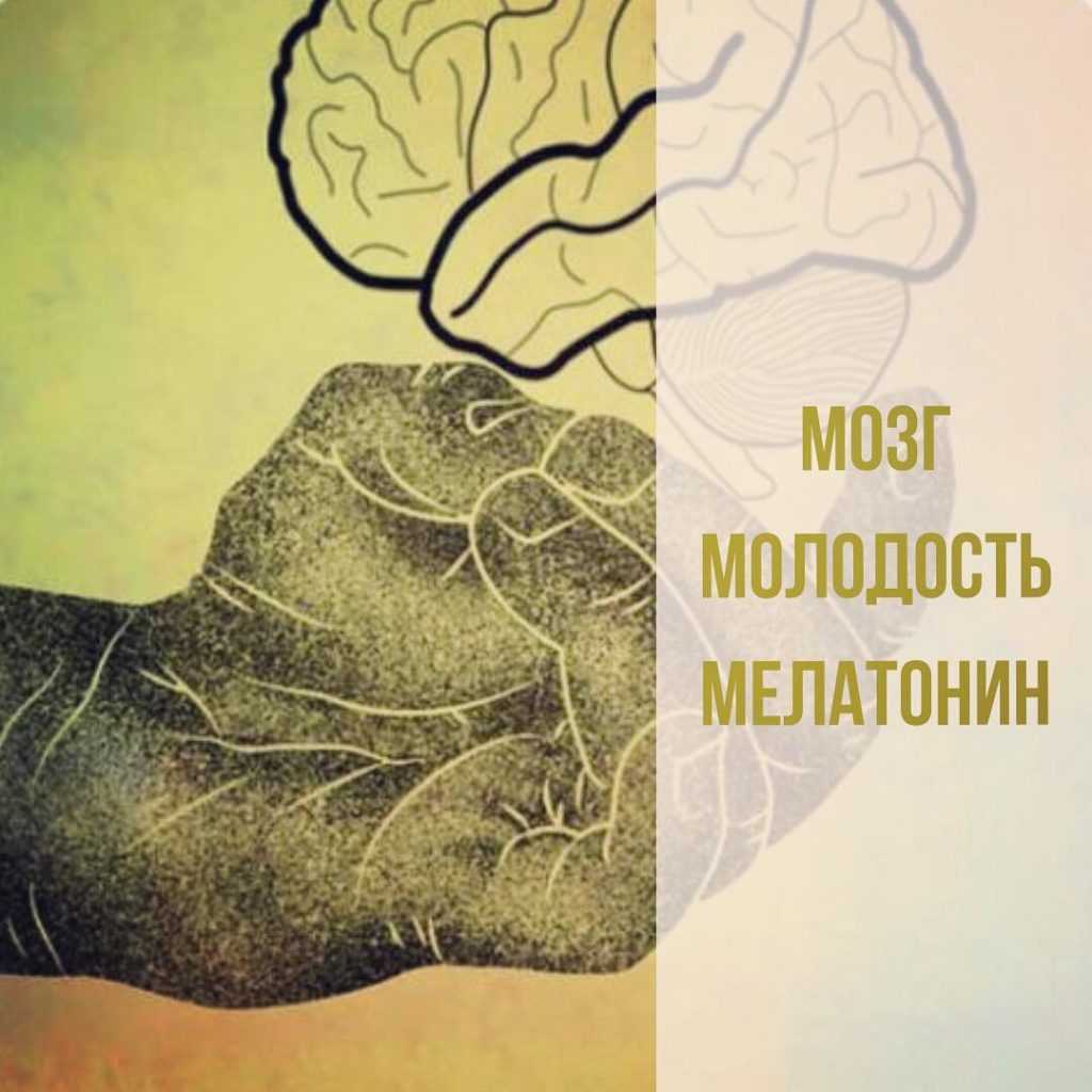 Знаете ли вы, что слепые люди не болеют раком? А все потому, что у них всегда высокий уровень мелатонина. Свет блокирует выработку мелатонина, темнота способствует его синтезу. Именно мелатонин – основной антиоксидантный гормон, защищающий нас от рака. . ?Через 30 мин от начала засыпания уровень мелатонина резко повышается и начинает «вычищать» организм от поврежденных клеток, которые потенциально могут стать онкологическими. . ?Мелатонин – главный антивозрастной гормон и он регулирует уровни всех других гормонов. По мере старения, выработка мелатонина физиологично снижается. А если мы хронически недосыпаем, то массивная потеря мелатонина запускает каскад старения уже в молодом возрасте . ?Мелатонин контролирует аппетит, защищает от инсулинорезистентности и лишнего веса, так как блокирует высвобождение инсулина клетками поджелудочной железы. Соответственно, когда мы спим мало и не получаем достаточно мелатонина, то имеем повышенный инсулин, который снижает глюкозу в крови и провоцирует аппетит. Именно поэтому на следующий день нам всегда кажется, что желудок пустой. . ?Несложно догадаться, что организм людей, ведущих ночной образ жизни или работающих в ночные смены накапливает поврежденные клетки в избытке, имеет склонность к повышенному инсулину и аппетиту (а это прямой путь к сахарному диабету 2 типа), ну и ранние признаки старения само собой. . ?Зевота – признак начала выработки мелатонина. Начали зевать - бросаем все дела и идём спать. Тем самым делаем кучу добра своему организму – бережём мозг, молодеем, стройнеем, профилактируем онкологию. Здоровой всем мелатониновой ночи?