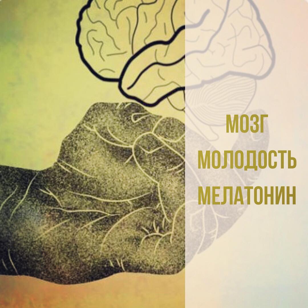 Знаете ли вы, что слепые люди не болеют раком? А все потому, что у них всегда высокий уровень мелатонина. Свет блокирует выработку мелатонина, темнота способствует его синтезу. Именно мелатонин – основной антиоксидантный гормон, защищающий нас от рака. . 🌗Через 30 мин от начала засыпания уровень мелатонина резко повышается и начинает «вычищать» организм от поврежденных клеток, которые потенциально могут стать онкологическими. . 🌗Мелатонин – главный антивозрастной гормон и он регулирует уровни всех других гормонов. По мере старения, выработка мелатонина физиологично снижается. А если мы хронически недосыпаем, то массивная потеря мелатонина запускает каскад старения уже в молодом возрасте . 🌗Мелатонин контролирует аппетит, защищает от инсулинорезистентности и лишнего веса, так как блокирует высвобождение инсулина клетками поджелудочной железы. Соответственно, когда мы спим мало и не получаем достаточно мелатонина, то имеем повышенный инсулин, который снижает глюкозу в крови и провоцирует аппетит. Именно поэтому на следующий день нам всегда кажется, что желудок пустой. . 🌗Несложно догадаться, что организм людей, ведущих ночной образ жизни или работающих в ночные смены накапливает поврежденные клетки в избытке, имеет склонность к повышенному инсулину и аппетиту (а это прямой путь к сахарному диабету 2 типа), ну и ранние признаки старения само собой. . 😴Зевота – признак начала выработки мелатонина. Начали зевать - бросаем все дела и идём спать. Тем самым делаем кучу добра своему организму – бережём мозг, молодеем, стройнеем, профилактируем онкологию. Здоровой всем мелатониновой ночи🤫