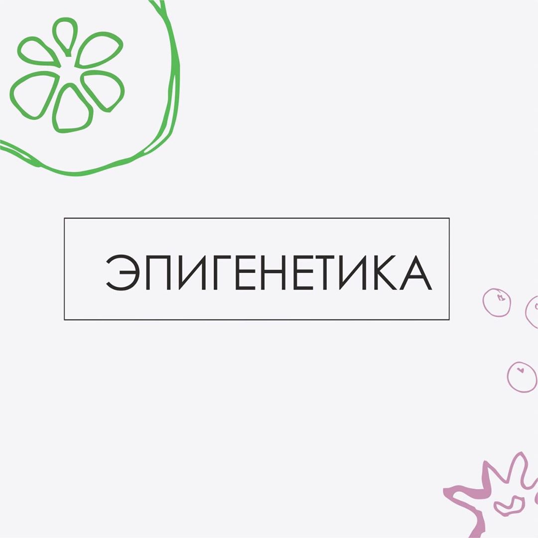 🧬🧬🧬Ещё меня в школе меня учили, что клетки передают по наследству только свой геном. Однако мало кто слышал о структуре под названием эпигеном, за открытие которой присуждена Нобелевская премия. . 🧬Генетика и эпигенетика — две сестры. Генетика — клеточная память, которую мы получаем от родителей: чем мама питалась, какие лекарства принимала, чем болела и т.д. Мать, страдающая сахарным диабетом и ожирением, вероятно, передаст эти гены ребенку. Однако наследуется не само заболевание, а предрасположенность к нему. А вот включатся ли эти гены у ребёнка, решает эпигенетика. . 🧬Эпигенетика — это комплекс факторов окружающей среды, социальных взаимодействий, физических нагрузок, питания, сна, психологической обстановки, вредных привычек, лекарств, состояния кишечника, витаминного статуса и всего того, что может оказывать потенциальное влияние на гены. . 🧬Именно эпигенетика играет роль командира и отдаёт приказы нашим генам включиться/выключиться, ослабить/усилить влияние, ускорить/затормозить процесс старения. То есть генетика предполагает, эпигенетика — располагает. Генетика ДНК — это текст, а эпигенетика — чтец, он распоряжается информацией и упорядочивает ее. . 🧬Формула качества жизни едина для всех: Генетика 40% + эпигенетика 50% + медицина 10%. ❗️От родителей мы получаем генетическую инструкцию, а вот как мы будем распоряжаться этой инструкцией и как будем работать внутри этой формулы, — зависит от нас самих.